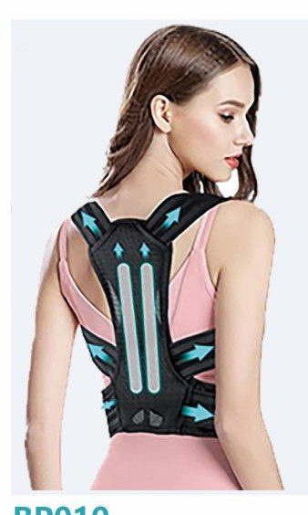 BP010 Padded Support Brace - Back support